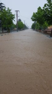 Altıntaş'ta Şiddetli Yağış Sele Neden Oldu