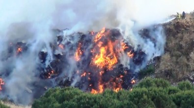 Ayvalık'ta  Çöplük Yangını Ormanlık Alana Sıçramadan Güçlükle Kontrol Altına Alındı