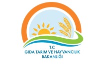 DELİ DANA HASTALIĞI - Bakanlık'tan 'Deli Dana' açıklaması