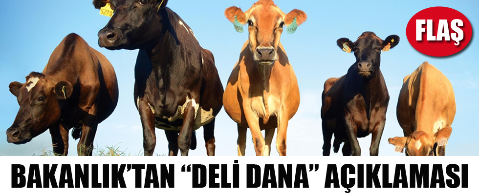 Bakanlık'tan 'Deli Dana' açıklaması