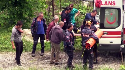 Fındık Bahçesine Devrilen Otomobilin Sürücüsü Yaralandı