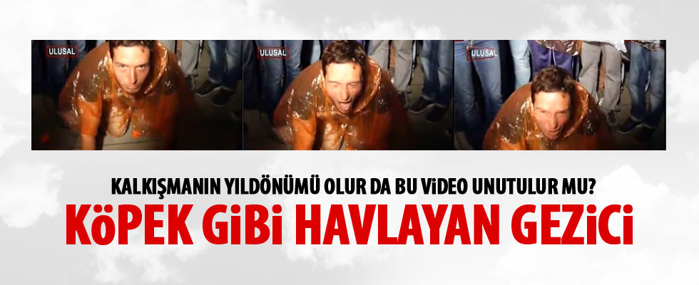 Gezi'den akıllarda kalanlar: Köpek gibi havlayan eylemci