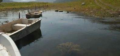 Barajda Kaçak Balık Avlayanlara Operasyon