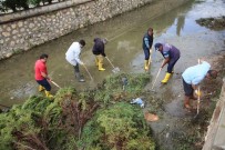 MÜKERREM TOLLU - Erdemli'de Sazlık Ve Çamurla Dolan Kanallar Temizleniyor