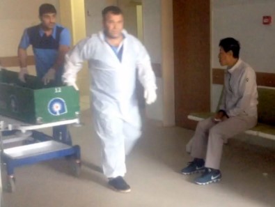 Güney Koreli Şoför, Kullandığı Araçta Ölen Arkadaşlarını Gözyaşları İçinde Uğurladı