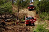 AMANOS DAĞLARI - Hatay'daki Orman Yangını Devam Ediyor