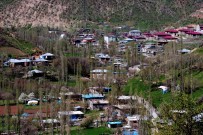SEMENDER - Nesli Tükenmekte Olan Semenderler Köylünün İçme Suyundan Çıktı