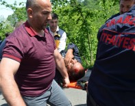 KAŞÜSTÜ - Trabzon'da Arap Turistlerin İçinde Bulunduğu Otomobil Fındık Bahçesine Uçtu Açıklaması 2 Yaralı