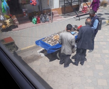 Van'da Satılamayan Balıklar Çevre İllerde Rahatlıkla Satılıyor