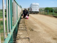 YENİ KÖPRÜ - Vatandaşlardan Çürük Köprünün Yenilenmesi Talebi