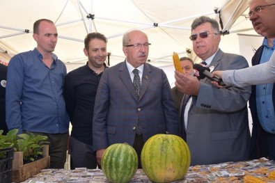 Yerel Tohumlar Tekirdağ'da Buluştu