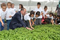 ORGANİK SEBZE - Başkan Duruay Öğrencilere Organik Sebze Fidesi Dağıttı