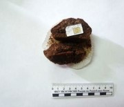 SİM KART - Cezaevindeki Eşine Kek İçinde Sim Kart Gönderdi