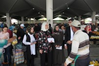 GÜLAY SAMANCı - Gülay Samancı Açıklaması '24 Haziran Seçimleri Çok Hassasiyet Taşıyan Bir Seçim'