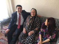 KARAKURT - Kaymakam Tunç, Marmara Adası'nın Ulu Çınarlarını Ziyaret Etti