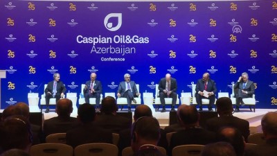 'Türkiye Petrolleri Azerbaycan'daki İş Birliğini Genişletmek İstiyor'