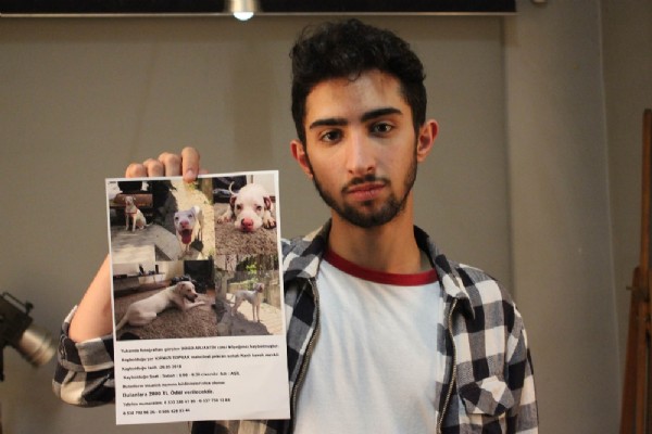 Aşil'i bulana 2 bin lira ödül