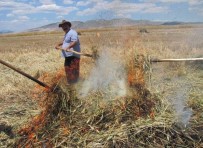 Kahramanmaraş'ta Firik Buğdayı Hasadı Başladı