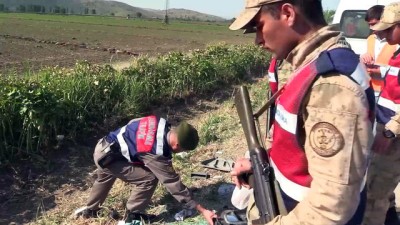 Amasya'da Minibüs Şarampole Devrildi Açıklaması 10 Yaralı