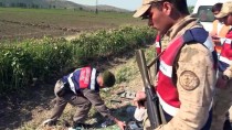 Amasya'da Minibüs Şarampole Devrildi Açıklaması 10 Yaralı Haberi