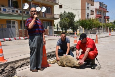 Bigadiç'te Doğalgaz Sevinci