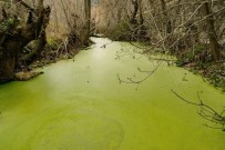 Büyük Menderes Nehri İçin 'Temiz Üretim Hareketi' Başlatıldı Haberi