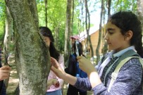 KOCAELİ KİTAP FUARI - Büyükşehir, Çocukları Doğa İle Buluşturdu