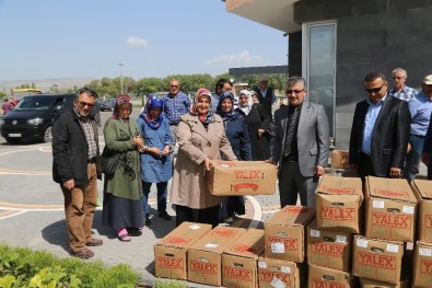 Doğal Ürünler Bahçesi'ndeki Üreticilere Çilek Fidesi Dağıtıldı