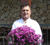 İSMAİL YILMAZ - Dünyanın Annelerine Antalya'dan 42 Milyon Dal Çiçek