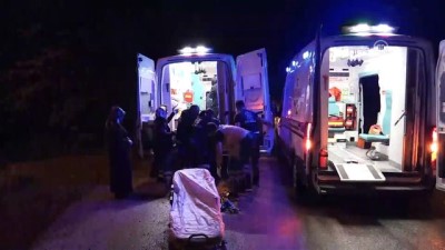 Düzce'de Otomobil Dere Yatağına Devrildi Açıklaması 5 Yaralı