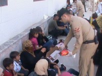 İSTİHBARAT BİRİMLERİ - Hatay'da 46 Kaçak Göçmen Yakalandı