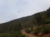 AMANOS DAĞLARI - Hatay'da Orman Yangını Söndürme Çalışmaları 4 Gündür Sürüyor