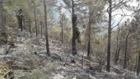AMANOS DAĞLARI - Hatay'daki Orman Yangını Kontrol Altına Alındı