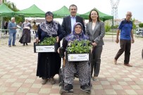 DOLMALIK BİBER - Hobi Bahçelerinde Fide Dağıtıldı