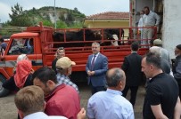 Karabük'te Genç Çiftçilere 492 Büyükbaş Hayvan Dağıtıldı