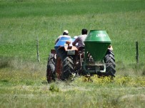 ORGANIK TARıM - Mera Islah Projesi İle Çiftçilerin Yüzü Gülecek