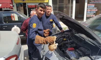 Otomobilin Motoruna Sıkışan Kediyi İtfaiye Kurtardı
