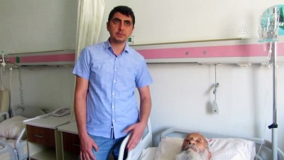 55 Torunlu Asırlık Çınar Ameliyatla Sağlığına Kavuştu
