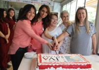 ROJDA - Aydın'da Ebeler Günlerini Pasta Keserek Kutladı