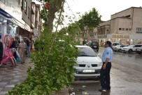 Tokat'ta Şiddetli Fırtına