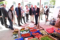 DEREKÖY - Vali Çiftçi, Dereköy'de Evlere Misafir Oldu