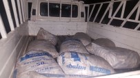 İNCİ KEFALİ - Van'da 2,4 Ton İnci Kefali Ele Geçirildi