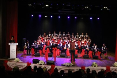 Batman'da 'Türkü'nün Yedi Rengi' Konseri