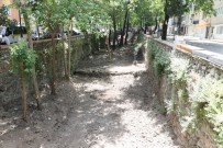 NIOBE - Çaybaşı Deresi Eski Günlerine Kavuşuyor