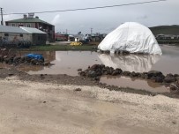 DAĞPıNAR - Dağpınar'da Yağmur Etkili Oldu