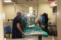 AYDıN DEVLET HASTANESI - ADH'de Kalp Kapama İşlemi Başarıyla Gerçekleşti