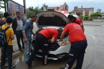 KARACAOĞLAN - Otomobilin Motoruna Sıkışan Yavru Köpeği İtfaiye Kurtardı