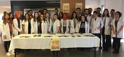 Tıp Öğrencileri, Kurdukları Stantta Güneşin Yarar Ve Zararlarını Anlattılar