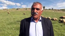 BEKİR KILIÇ - '300 Koyun Projesi' Besiciye Can Suyu Oldu