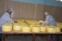 HÜSEYİN ALTINTAŞ - Devlet Desteğiyle Kurulan Tesiste Günde 8 Ton Süt İşleniyor